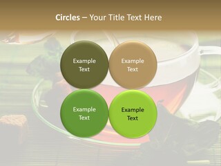 Aquarium Black Amazon PowerPoint Template