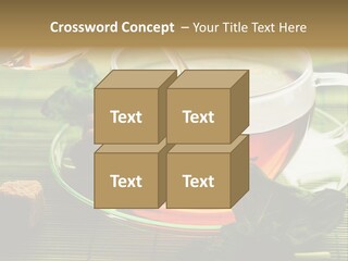 Aquarium Black Amazon PowerPoint Template