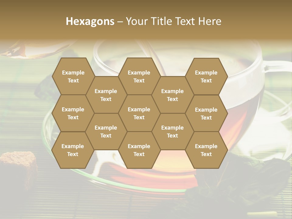 Aquarium Black Amazon PowerPoint Template