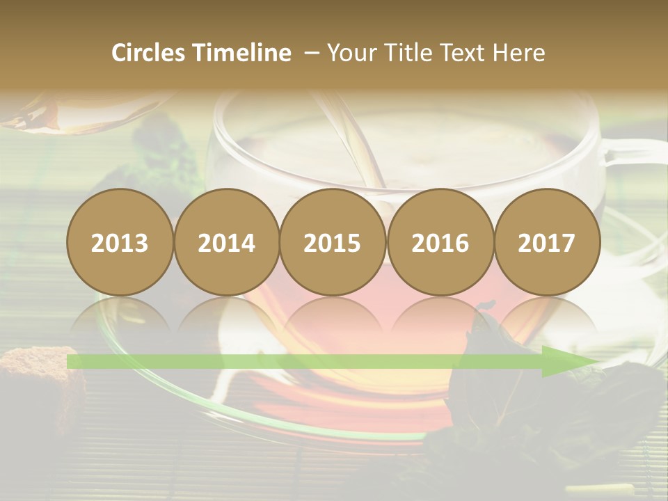 Aquarium Black Amazon PowerPoint Template