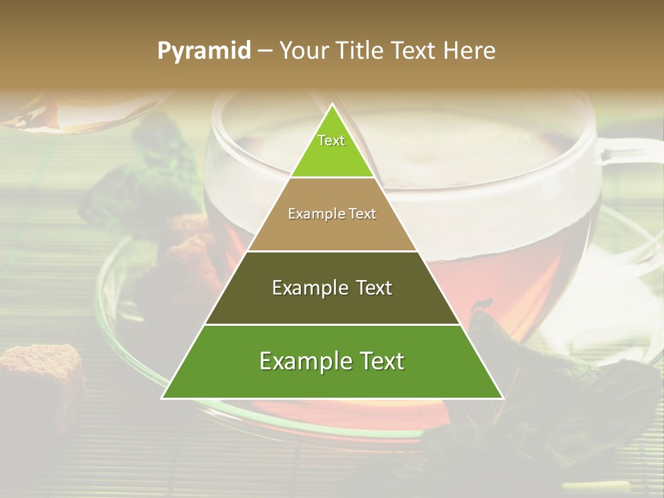 Aquarium Black Amazon PowerPoint Template