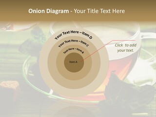 Aquarium Black Amazon PowerPoint Template