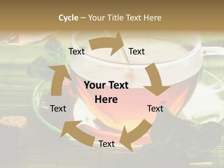 Aquarium Black Amazon PowerPoint Template