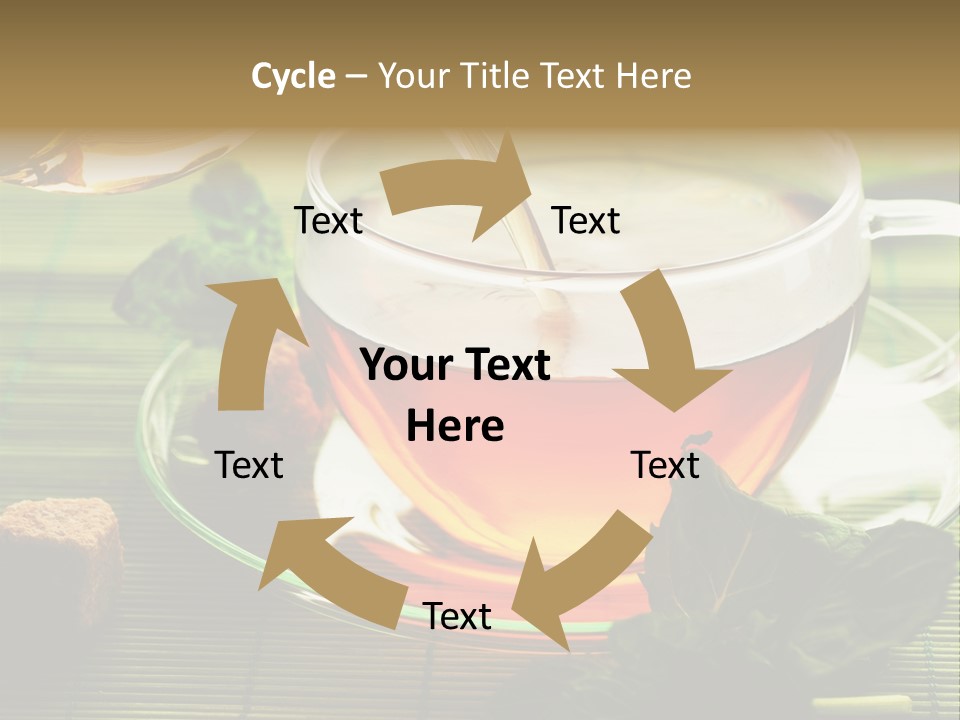 Aquarium Black Amazon PowerPoint Template