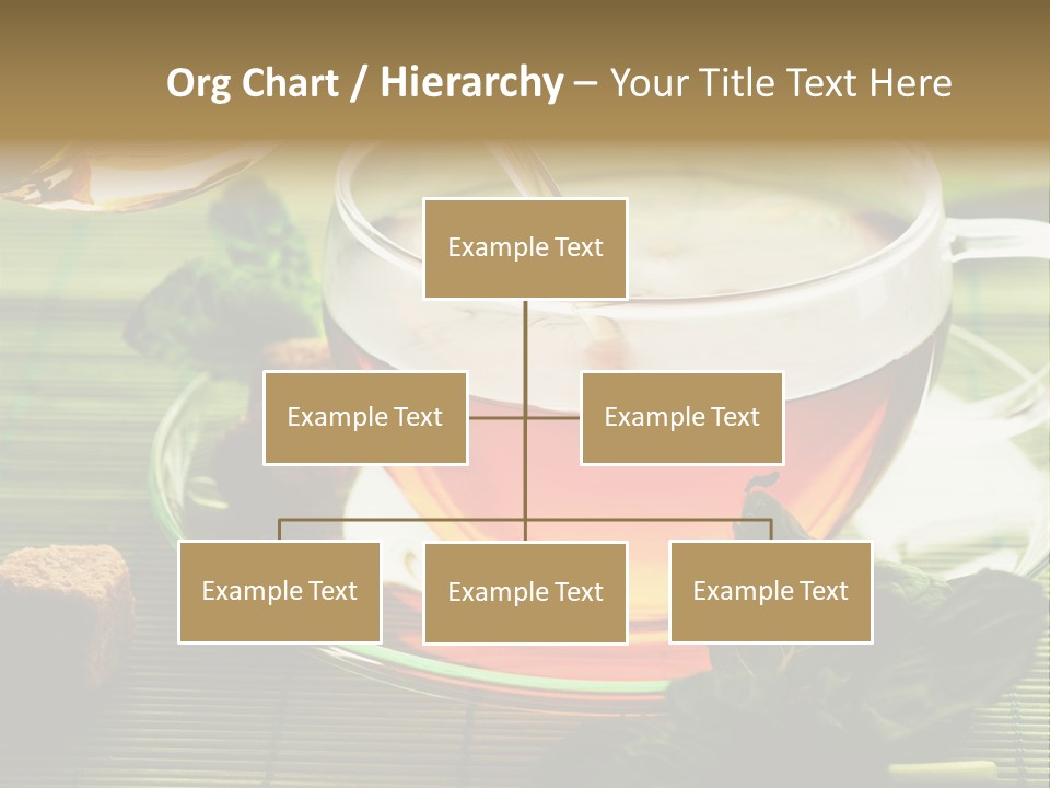 Aquarium Black Amazon PowerPoint Template