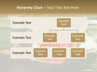 Aquarium Black Amazon PowerPoint Template