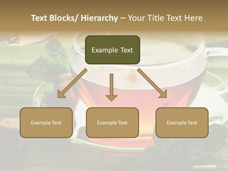 Aquarium Black Amazon PowerPoint Template