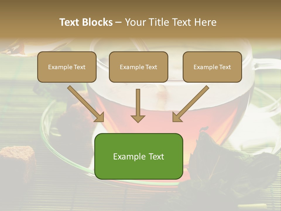 Aquarium Black Amazon PowerPoint Template