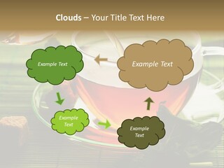 Aquarium Black Amazon PowerPoint Template