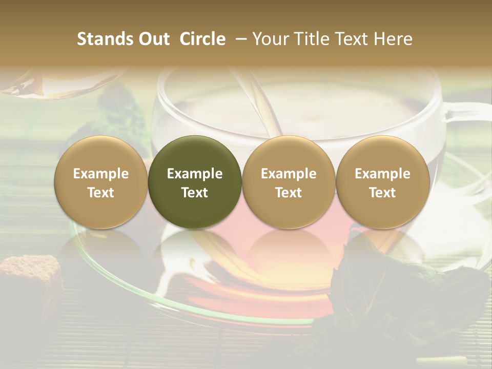 Aquarium Black Amazon PowerPoint Template