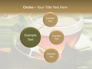 Aquarium Black Amazon PowerPoint Template