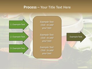 Aquarium Black Amazon PowerPoint Template