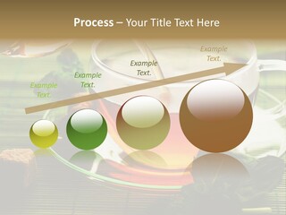 Aquarium Black Amazon PowerPoint Template