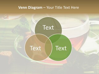 Aquarium Black Amazon PowerPoint Template