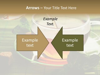 Aquarium Black Amazon PowerPoint Template