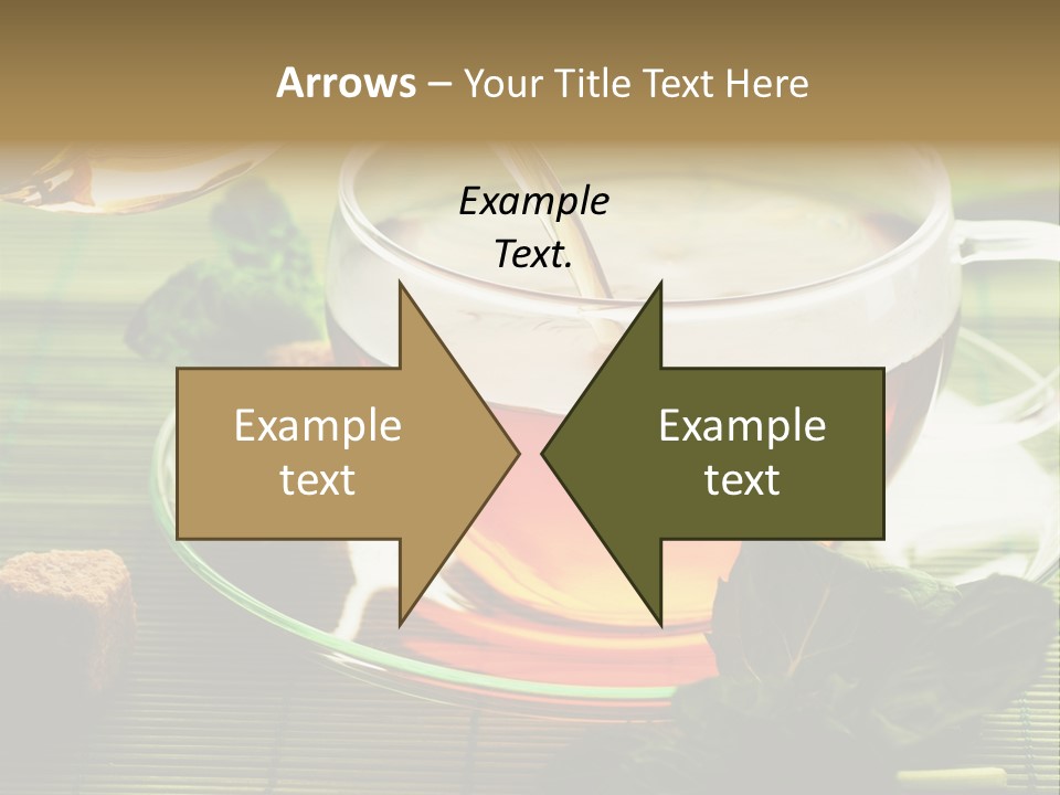 Aquarium Black Amazon PowerPoint Template