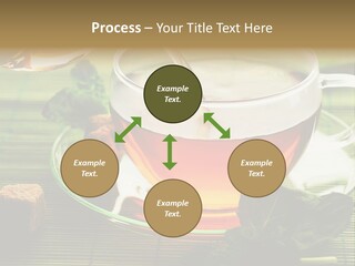 Aquarium Black Amazon PowerPoint Template