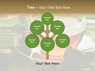 Aquarium Black Amazon PowerPoint Template