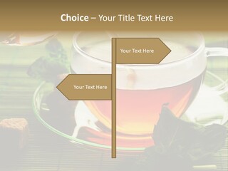 Aquarium Black Amazon PowerPoint Template