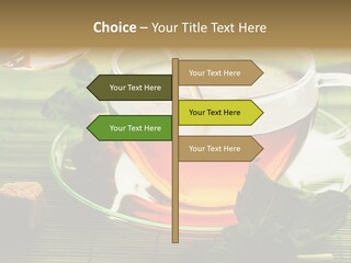 Aquarium Black Amazon PowerPoint Template