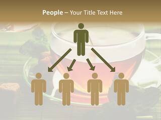 Aquarium Black Amazon PowerPoint Template