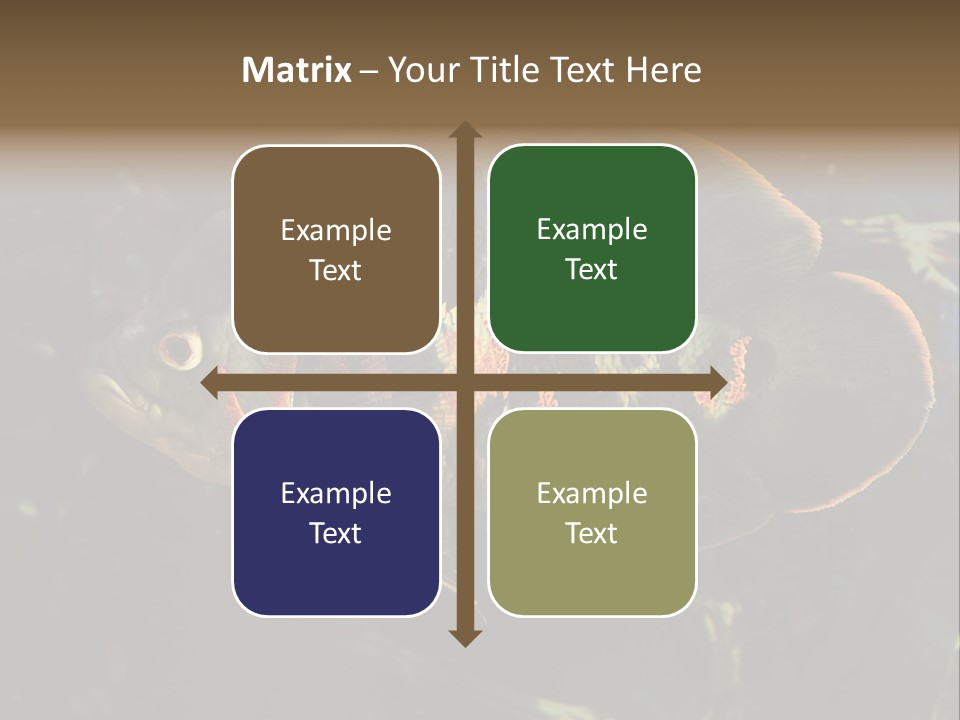 A Large Fish In An Aquarium Powerpoint Presentation PowerPoint Template