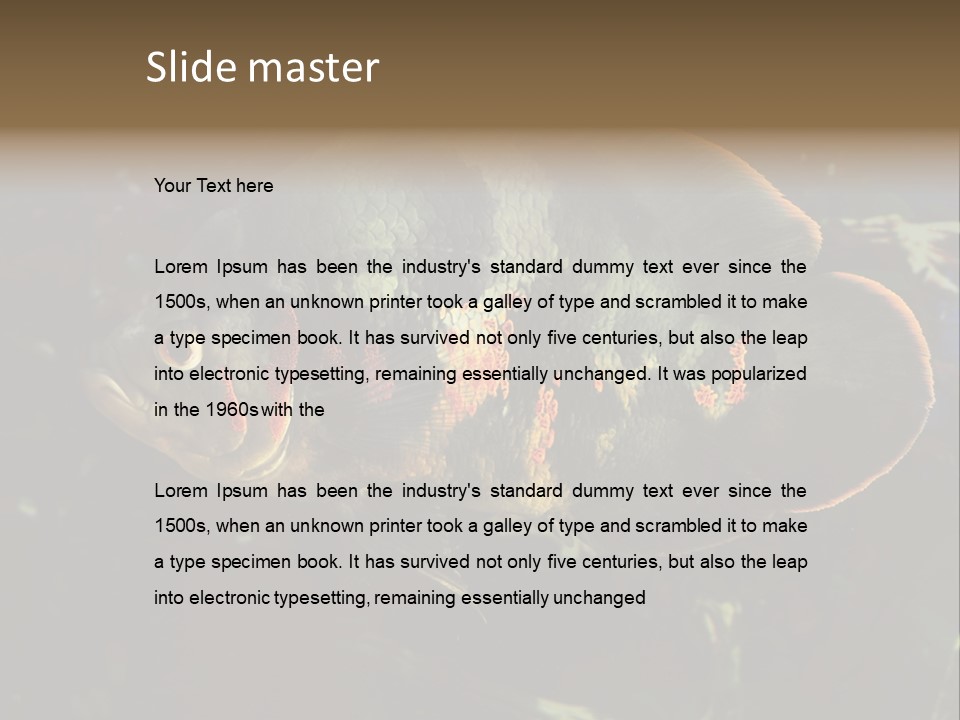 A Large Fish In An Aquarium Powerpoint Presentation PowerPoint Template