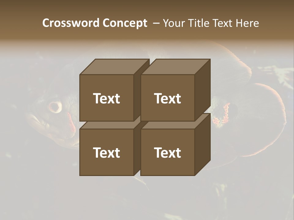 A Large Fish In An Aquarium Powerpoint Presentation PowerPoint Template