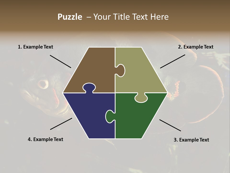 A Large Fish In An Aquarium Powerpoint Presentation PowerPoint Template