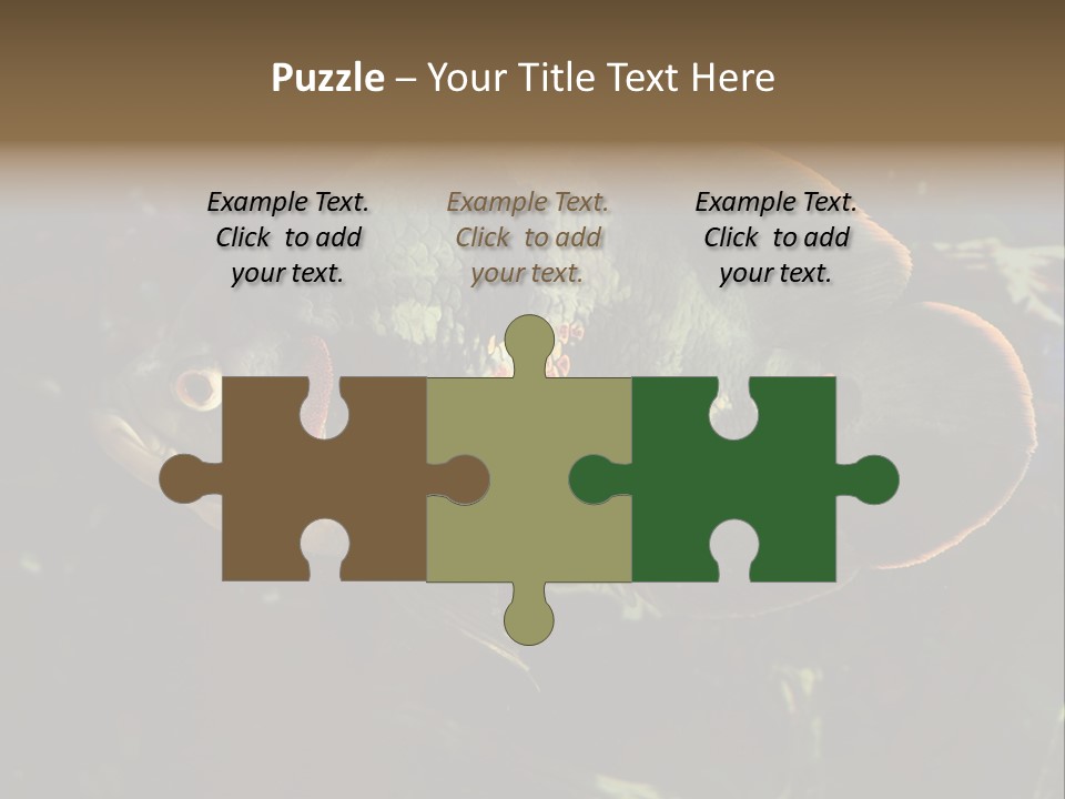 A Large Fish In An Aquarium Powerpoint Presentation PowerPoint Template