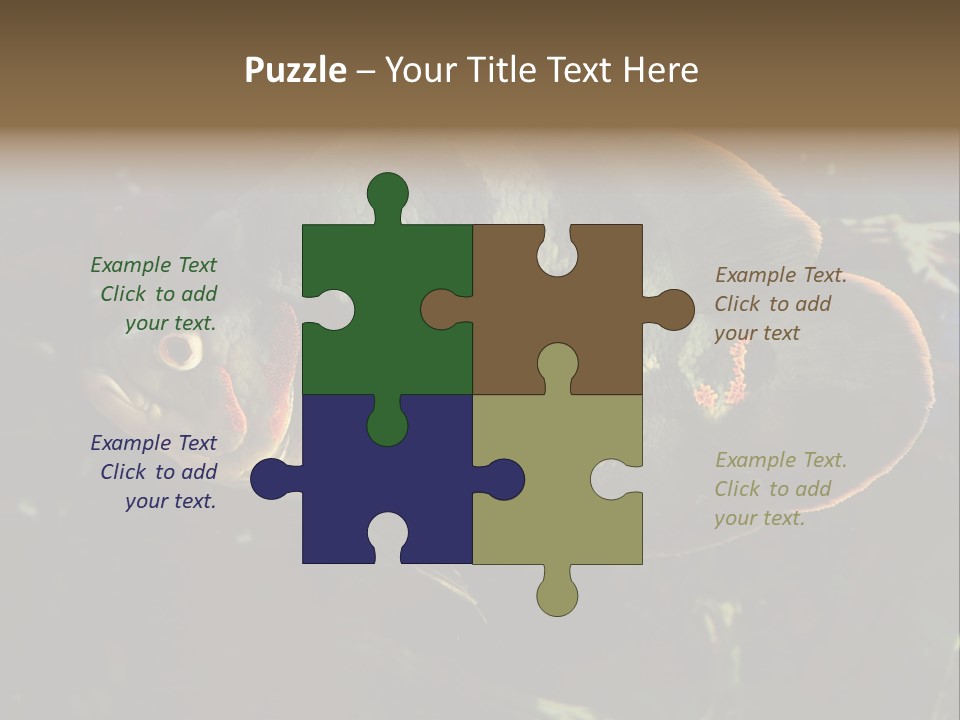 A Large Fish In An Aquarium Powerpoint Presentation PowerPoint Template