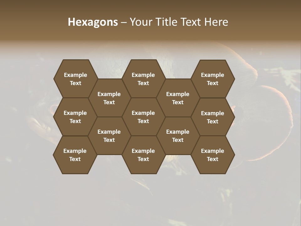 A Large Fish In An Aquarium Powerpoint Presentation PowerPoint Template