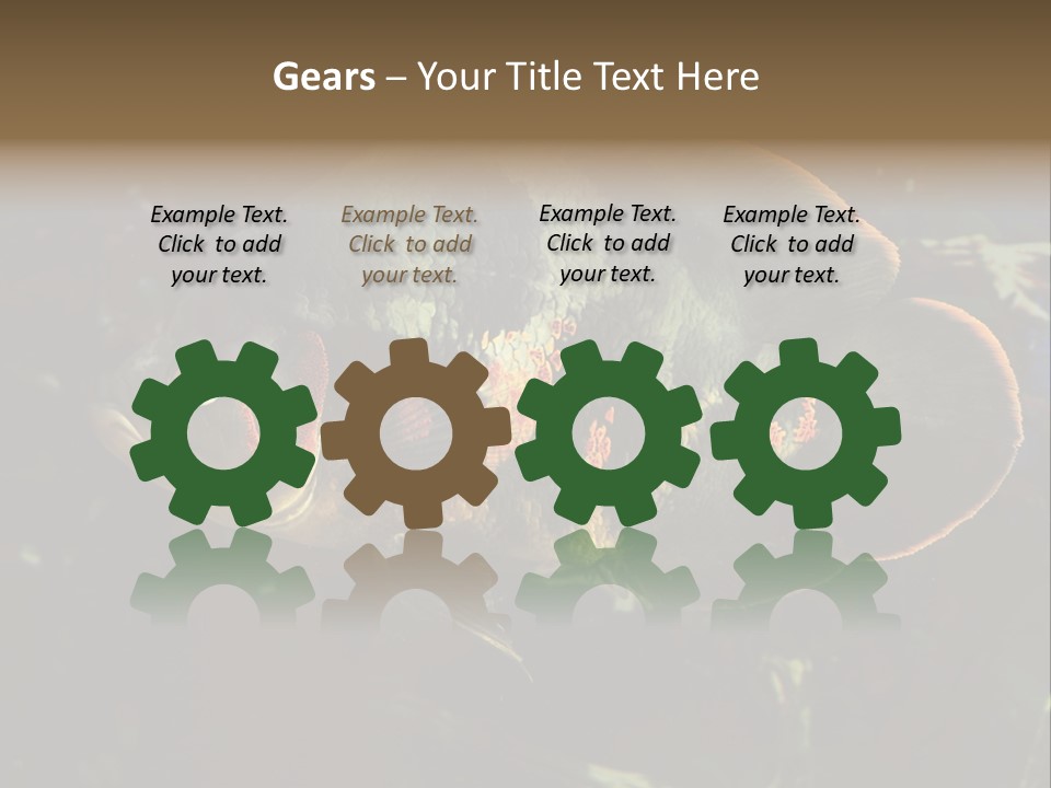 A Large Fish In An Aquarium Powerpoint Presentation PowerPoint Template