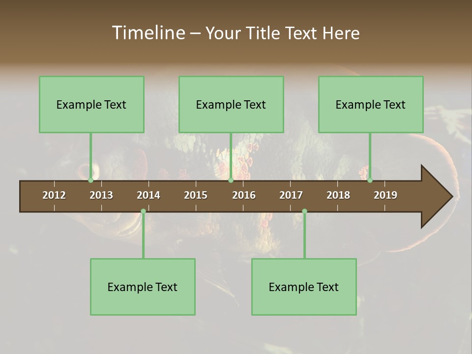 A Large Fish In An Aquarium Powerpoint Presentation PowerPoint Template
