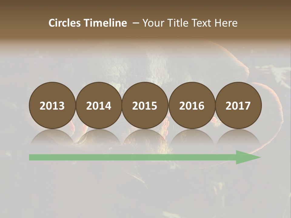 A Large Fish In An Aquarium Powerpoint Presentation PowerPoint Template