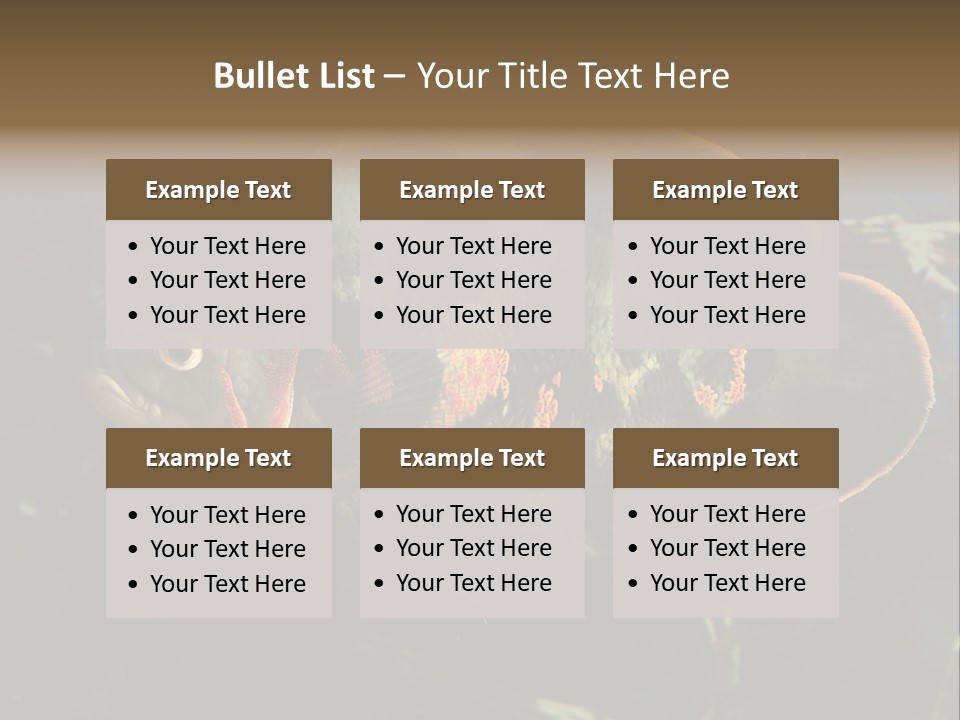 A Large Fish In An Aquarium Powerpoint Presentation PowerPoint Template