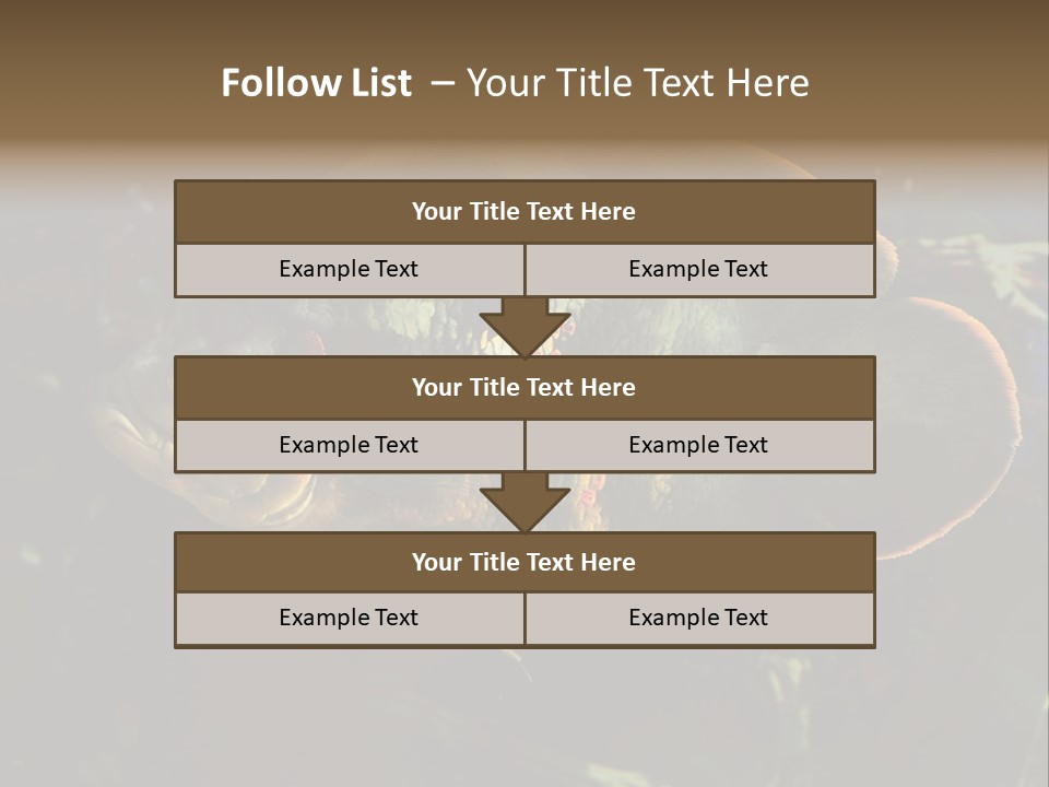 A Large Fish In An Aquarium Powerpoint Presentation PowerPoint Template