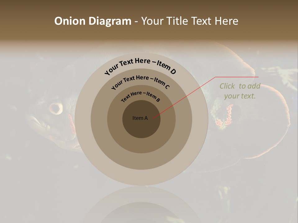 A Large Fish In An Aquarium Powerpoint Presentation PowerPoint Template