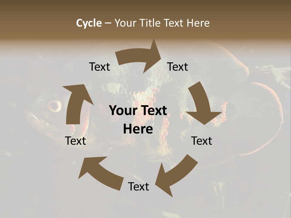 A Large Fish In An Aquarium Powerpoint Presentation PowerPoint Template