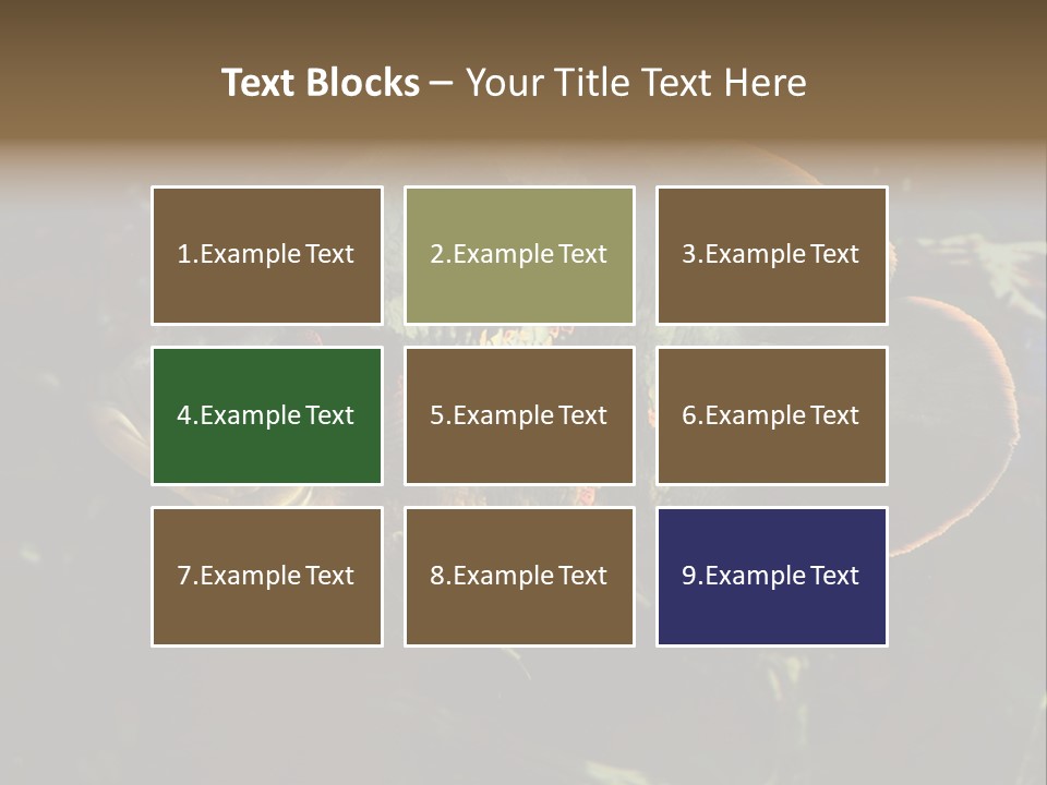 A Large Fish In An Aquarium Powerpoint Presentation PowerPoint Template