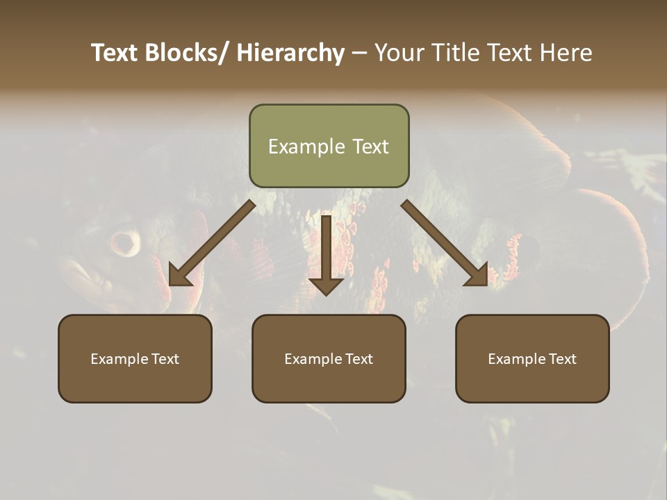 A Large Fish In An Aquarium Powerpoint Presentation PowerPoint Template