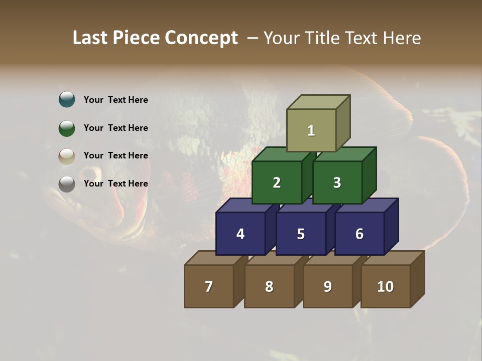 A Large Fish In An Aquarium Powerpoint Presentation PowerPoint Template