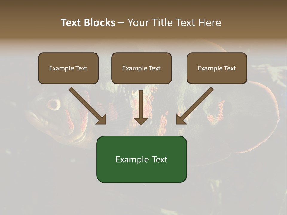 A Large Fish In An Aquarium Powerpoint Presentation PowerPoint Template