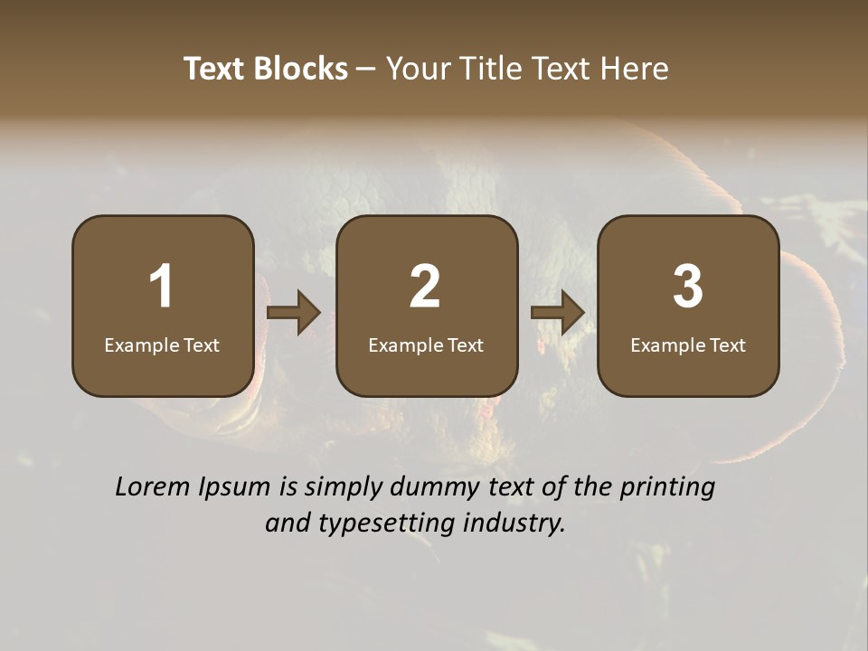 A Large Fish In An Aquarium Powerpoint Presentation PowerPoint Template