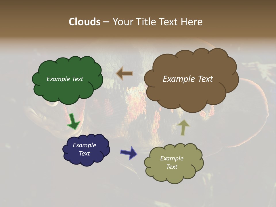 A Large Fish In An Aquarium Powerpoint Presentation PowerPoint Template