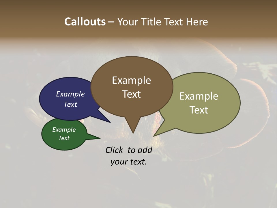 A Large Fish In An Aquarium Powerpoint Presentation PowerPoint Template