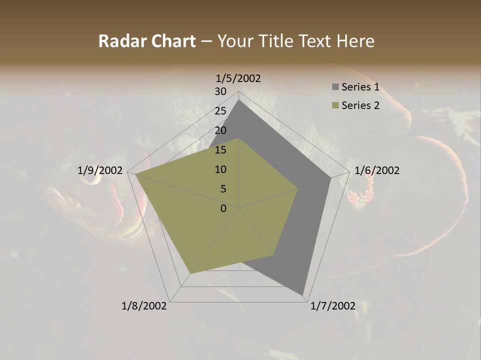 A Large Fish In An Aquarium Powerpoint Presentation PowerPoint Template