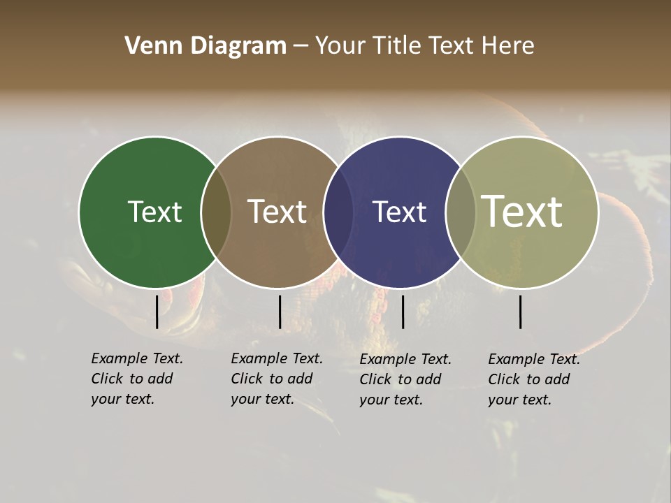 A Large Fish In An Aquarium Powerpoint Presentation PowerPoint Template