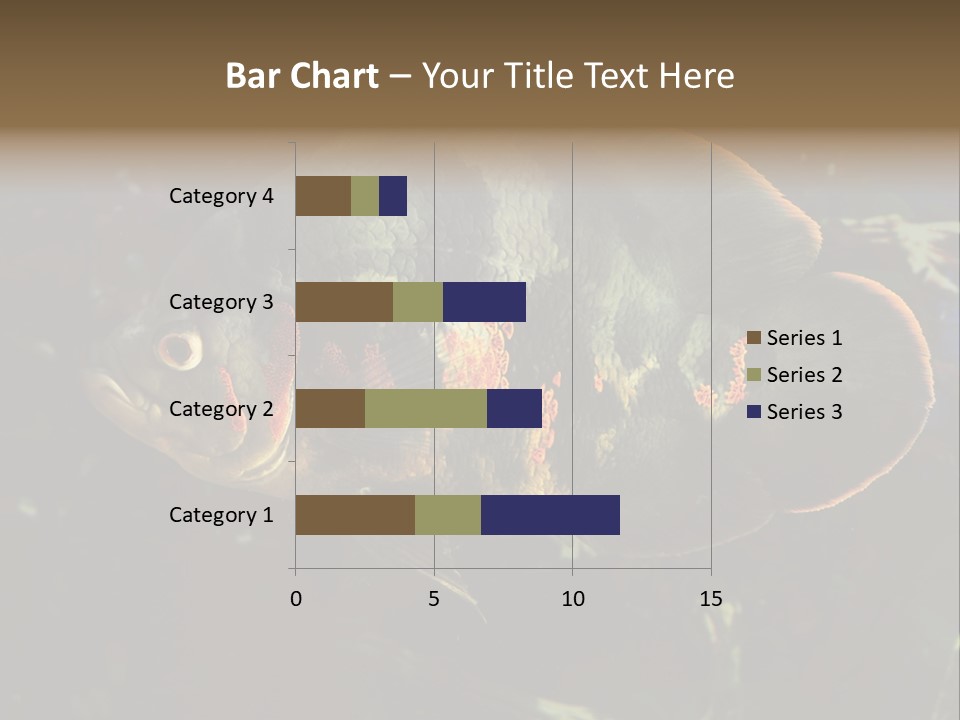 A Large Fish In An Aquarium Powerpoint Presentation PowerPoint Template