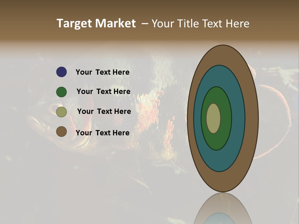 A Large Fish In An Aquarium Powerpoint Presentation PowerPoint Template